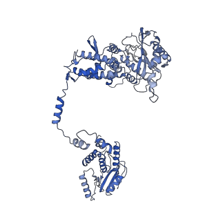 10665_6xzq_A_v1-1
Influenza C virus polymerase in complex with human ANP32A - Subclass 1