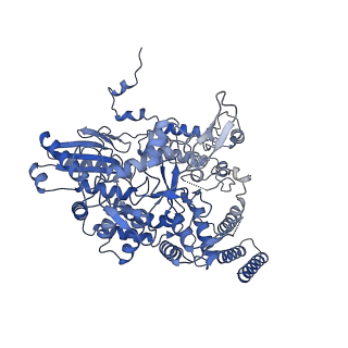 10665_6xzq_B_v1-1
Influenza C virus polymerase in complex with human ANP32A - Subclass 1