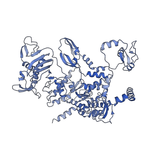 10665_6xzq_C_v1-1
Influenza C virus polymerase in complex with human ANP32A - Subclass 1
