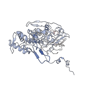 10665_6xzq_E_v1-1
Influenza C virus polymerase in complex with human ANP32A - Subclass 1