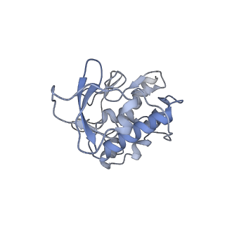 10665_6xzq_F_v1-1
Influenza C virus polymerase in complex with human ANP32A - Subclass 1