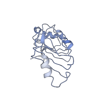 10665_6xzq_G_v1-1
Influenza C virus polymerase in complex with human ANP32A - Subclass 1