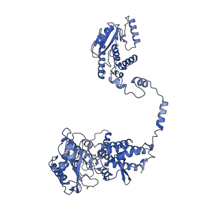 10666_6xzr_AP1_v1-1
Influenza C virus polymerase in complex with chicken ANP32A - Subclass 1