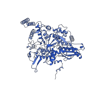 10666_6xzr_BP1_v1-1
Influenza C virus polymerase in complex with chicken ANP32A - Subclass 1