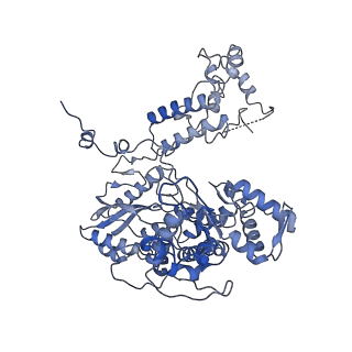 10666_6xzr_EP1_v1-1
Influenza C virus polymerase in complex with chicken ANP32A - Subclass 1