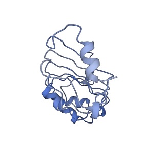 10666_6xzr_GP1_v1-1
Influenza C virus polymerase in complex with chicken ANP32A - Subclass 1
