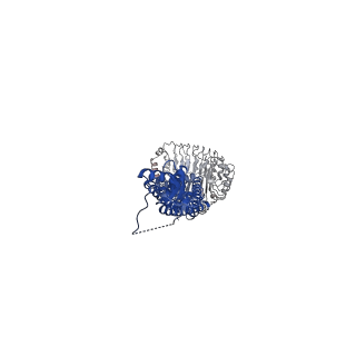 33527_7xzh_E_v1-0
Cryo-EM structure of human LRRC8A