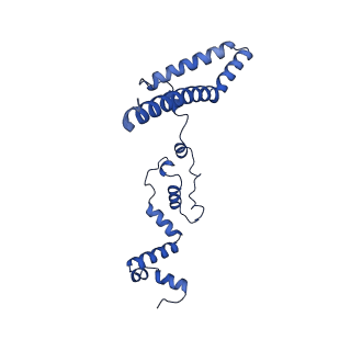 33528_7xzi_5_v1-3
Cryo-EM structure of TOC-TIC supercomplex from Chlamydomonas reinhardtii