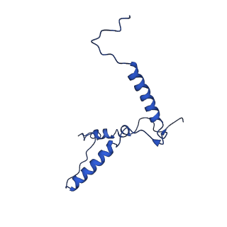 33528_7xzi_C_v1-3
Cryo-EM structure of TOC-TIC supercomplex from Chlamydomonas reinhardtii