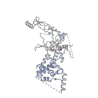 33529_7xzj_A_v1-3
Cryo-EM structure of TOC complex from Chlamydomonas reinhardtii.