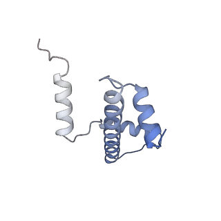 33533_7xzx_A_v1-1
Cryo-EM structure of the nucleosome in complex with p53 DNA-binding domain