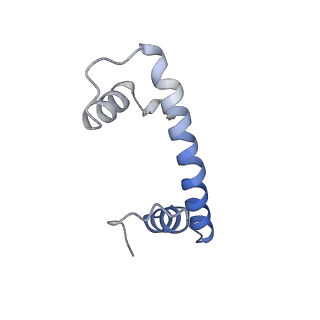33533_7xzx_B_v1-1
Cryo-EM structure of the nucleosome in complex with p53 DNA-binding domain