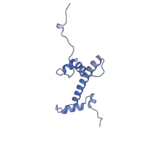 33533_7xzx_C_v1-1
Cryo-EM structure of the nucleosome in complex with p53 DNA-binding domain