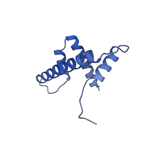 33533_7xzx_D_v1-1
Cryo-EM structure of the nucleosome in complex with p53 DNA-binding domain