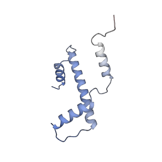 33533_7xzx_E_v1-1
Cryo-EM structure of the nucleosome in complex with p53 DNA-binding domain