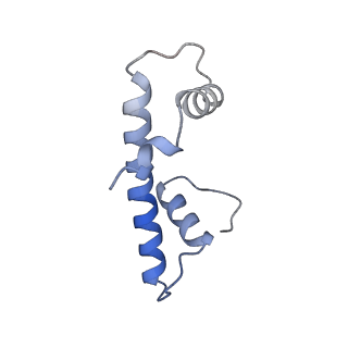 33533_7xzx_F_v1-1
Cryo-EM structure of the nucleosome in complex with p53 DNA-binding domain