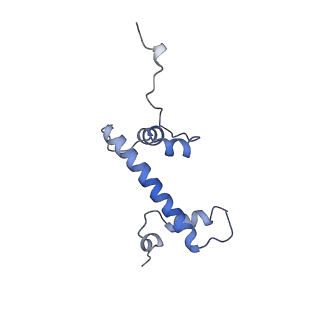 33533_7xzx_G_v1-1
Cryo-EM structure of the nucleosome in complex with p53 DNA-binding domain