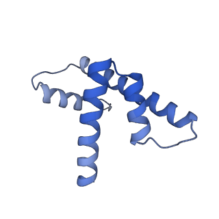 33533_7xzx_H_v1-1
Cryo-EM structure of the nucleosome in complex with p53 DNA-binding domain