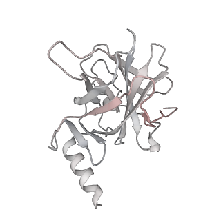 33533_7xzx_K_v1-1
Cryo-EM structure of the nucleosome in complex with p53 DNA-binding domain