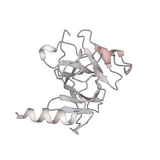 33533_7xzx_L_v1-1
Cryo-EM structure of the nucleosome in complex with p53 DNA-binding domain