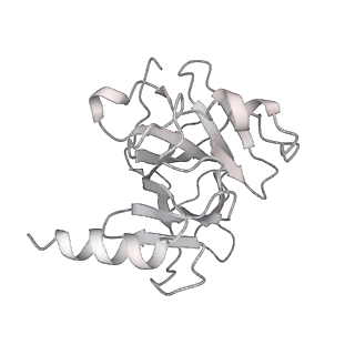 33533_7xzx_M_v1-1
Cryo-EM structure of the nucleosome in complex with p53 DNA-binding domain