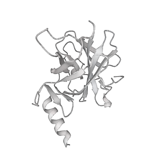 33533_7xzx_N_v1-1
Cryo-EM structure of the nucleosome in complex with p53 DNA-binding domain