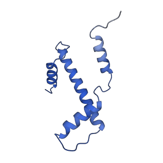 33534_7xzy_A_v1-1
Cryo-EM structure of the nucleosome containing 193 base-pair DNA with a p53 target sequence
