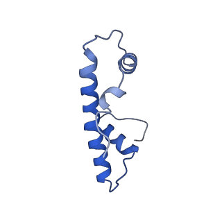 33534_7xzy_B_v1-1
Cryo-EM structure of the nucleosome containing 193 base-pair DNA with a p53 target sequence