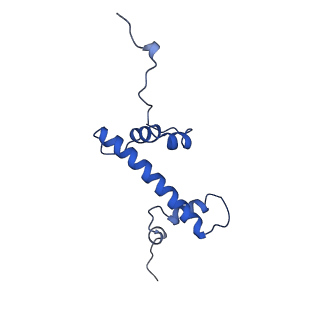 33534_7xzy_C_v1-1
Cryo-EM structure of the nucleosome containing 193 base-pair DNA with a p53 target sequence