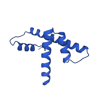 33534_7xzy_D_v1-1
Cryo-EM structure of the nucleosome containing 193 base-pair DNA with a p53 target sequence