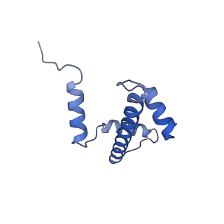 33534_7xzy_E_v1-1
Cryo-EM structure of the nucleosome containing 193 base-pair DNA with a p53 target sequence
