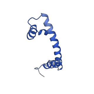 33534_7xzy_F_v1-1
Cryo-EM structure of the nucleosome containing 193 base-pair DNA with a p53 target sequence