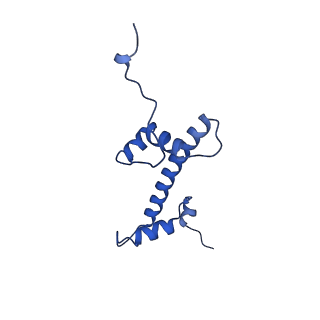 33534_7xzy_G_v1-1
Cryo-EM structure of the nucleosome containing 193 base-pair DNA with a p53 target sequence