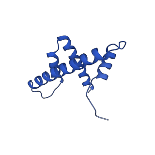 33534_7xzy_H_v1-1
Cryo-EM structure of the nucleosome containing 193 base-pair DNA with a p53 target sequence