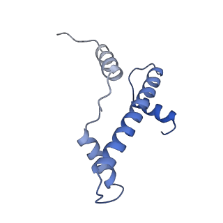 33535_7xzz_A_v1-1
Cryo-EM structure of the nucleosome in complex with p53