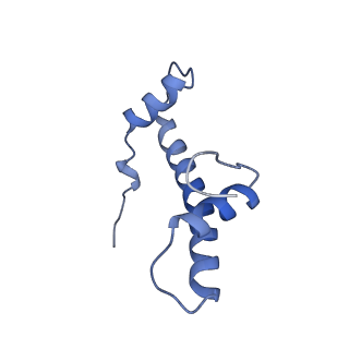 33535_7xzz_B_v1-1
Cryo-EM structure of the nucleosome in complex with p53