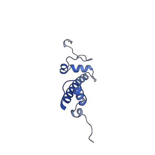 33535_7xzz_C_v1-1
Cryo-EM structure of the nucleosome in complex with p53