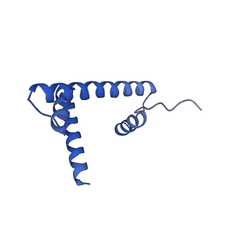 33535_7xzz_D_v1-1
Cryo-EM structure of the nucleosome in complex with p53