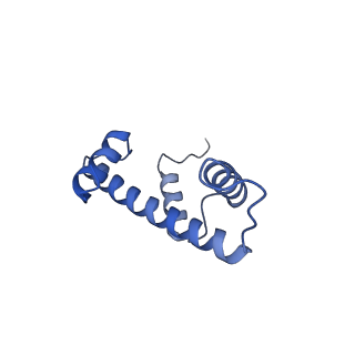 33535_7xzz_E_v1-1
Cryo-EM structure of the nucleosome in complex with p53