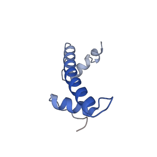 33535_7xzz_F_v1-1
Cryo-EM structure of the nucleosome in complex with p53