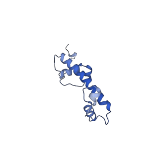 33535_7xzz_G_v1-1
Cryo-EM structure of the nucleosome in complex with p53