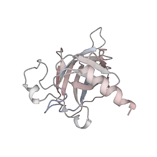 33535_7xzz_K_v1-1
Cryo-EM structure of the nucleosome in complex with p53