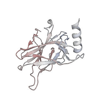 33535_7xzz_L_v1-1
Cryo-EM structure of the nucleosome in complex with p53