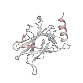 33535_7xzz_M_v1-1
Cryo-EM structure of the nucleosome in complex with p53