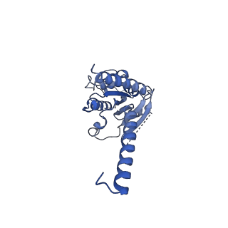 38794_8xzf_A_v1-1
Cryo-EM structure of the WN561-bound human APLNR-Gi complex