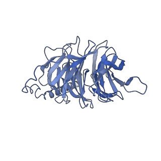 38794_8xzf_B_v1-1
Cryo-EM structure of the WN561-bound human APLNR-Gi complex