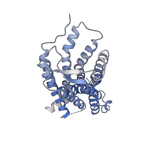 38794_8xzf_R_v1-1
Cryo-EM structure of the WN561-bound human APLNR-Gi complex
