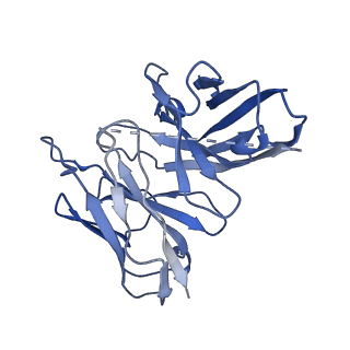 38794_8xzf_S_v1-1
Cryo-EM structure of the WN561-bound human APLNR-Gi complex