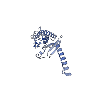 38795_8xzg_A_v1-0
Cryo-EM structure of the [Pyr1]-apelin-13-bound human APLNR-Gi complex