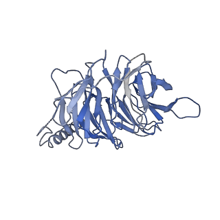 38795_8xzg_B_v1-0
Cryo-EM structure of the [Pyr1]-apelin-13-bound human APLNR-Gi complex